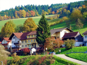 Гостиница Hotel Gasthof Zur Krone Odenwald-Sterne-Hotel, Берфельден